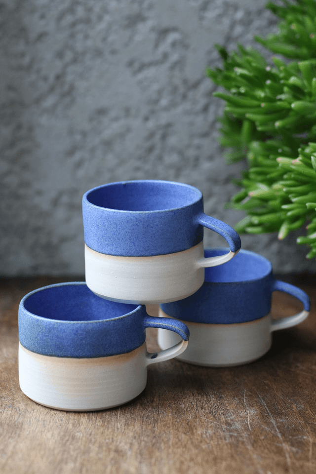La tasse bicolore 