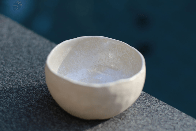 Le Bol coquillage