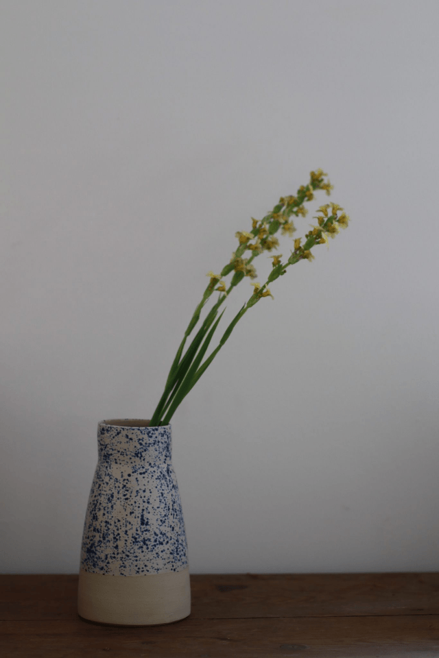 Le vase moucheté 